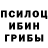 Псилоцибиновые грибы мицелий Yasser Gomaa