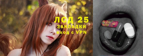 крисы Верхний Тагил