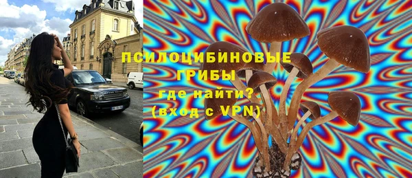 эйфоретик Верея