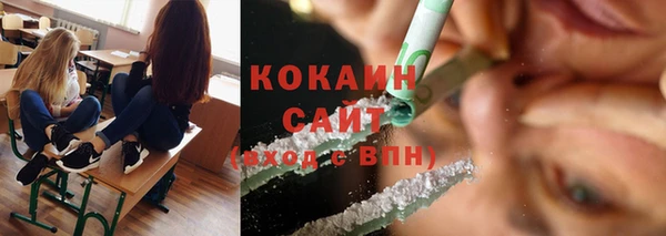 крисы Верхний Тагил