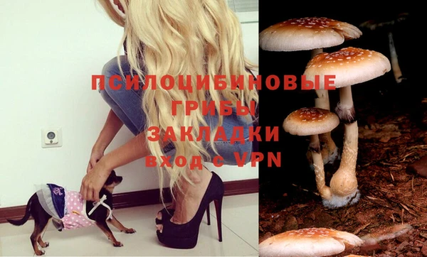 крисы Верхний Тагил