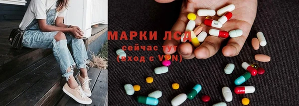 эйфоретик Верея