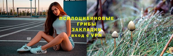 амф Бронницы