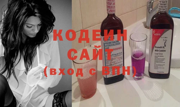 крисы Верхний Тагил