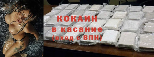 крисы Верхний Тагил