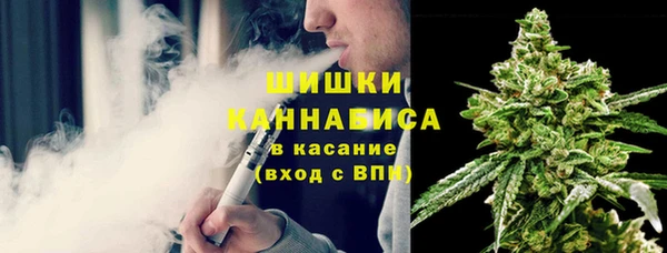 крисы Верхний Тагил
