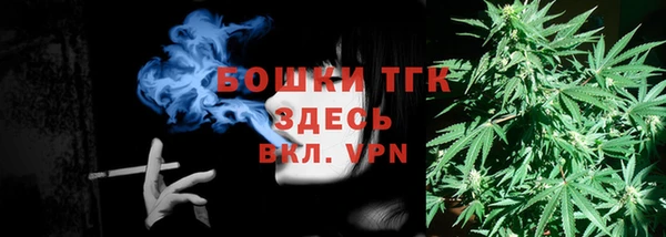 крисы Верхний Тагил