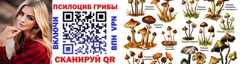 omg онион  наркошоп  Южно-Сухокумск  Галлюциногенные грибы мицелий 